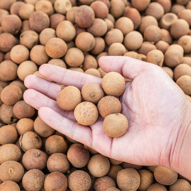 Dried Longan-With Skin