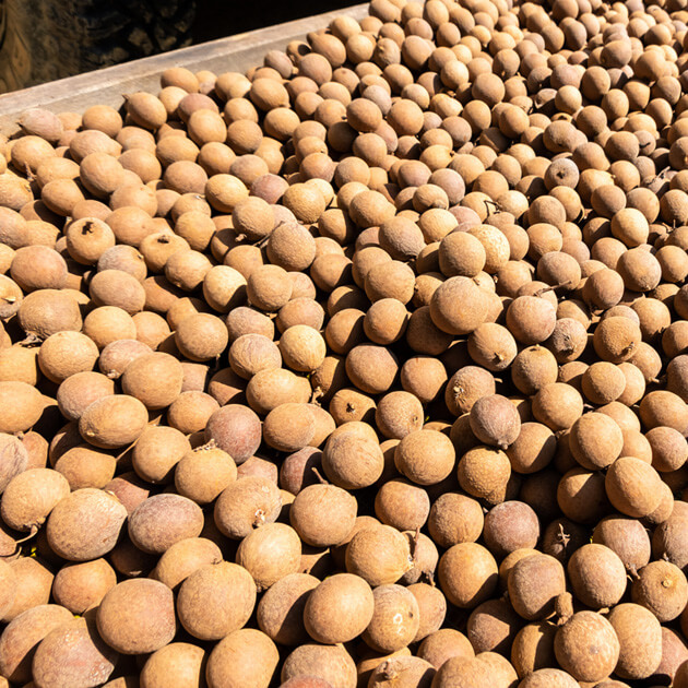 Dried Longan-With Skin